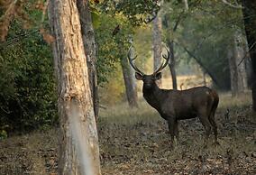 Red Earth Tadoba