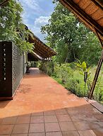 Red Earth Tadoba