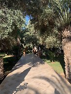 Riad le Jasmin