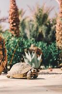 Riad le Jasmin