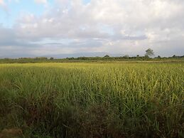 Panna Kalong