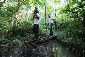 Bushbaby Lodge