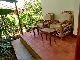 Bushbaby Lodge