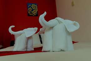 C.Samui Guesthouse
