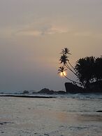 Coconut Treehouse