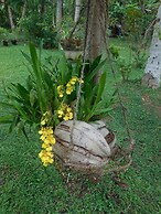 Coconut Treehouse