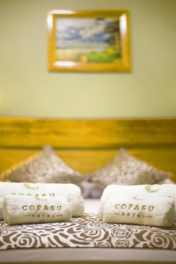 Copasu Hotel