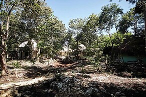 Corazón de Selva