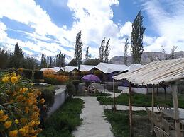 Tiger Camp