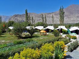 Tiger Camp