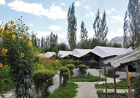 Tiger Camp