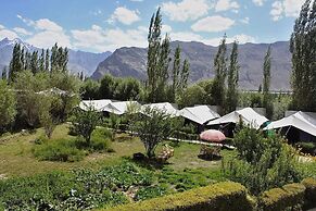 Tiger Camp