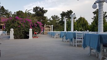 Silver Pine Hotel
