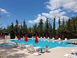 Silver Pine Hotel