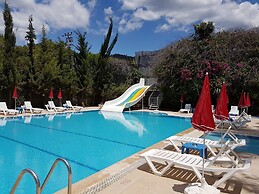 Silver Pine Hotel