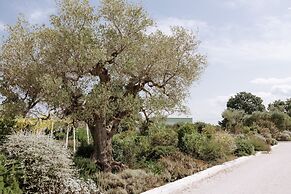 Tenuta del Lauro