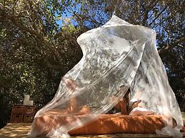 Biovilla Sustentabilidade