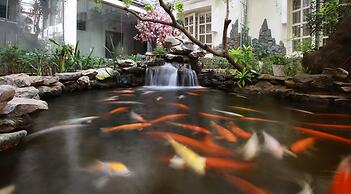 Hacinco Hotel