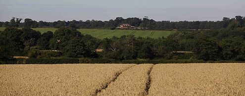 The Saracen's Head