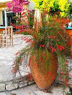 Emel Pension