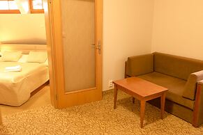 Hotel Vitkova Hora
