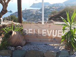 Bellevue Village