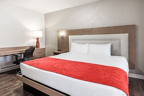 Hotel Universel