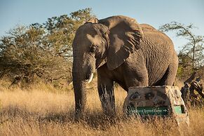 Hamiltons Tented Camp
