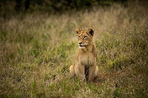 Hamiltons Tented Camp