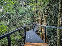 Cloud Forest Lodge