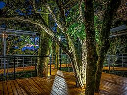 Cloud Forest Lodge