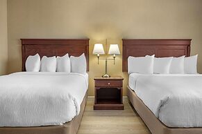 Best Western Plus Fredericton Hotel & Suites