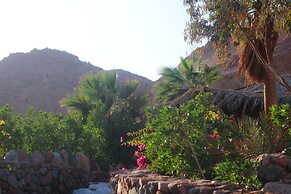 Bedouin Moon Hotel