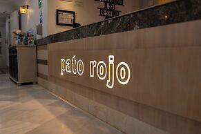 Pato Rojo