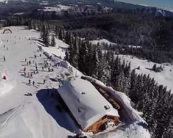 Alpine Smart Residence