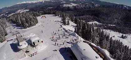 Alpine Smart Residence