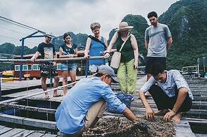 Bhaya Halong Cruises