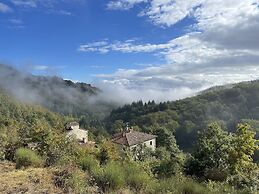 Bio Agriturismo il Vigno