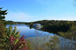 Best Western Plus Saint John Hotel & Suites