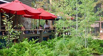 Johnston Canyon Lodge and Bungalows