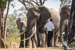 Taita Falcon Lodge