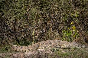 Taita Falcon Lodge
