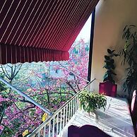 Hotel Baron