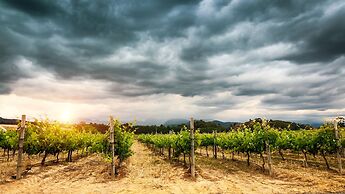 Appellation Lodi - Wine & Roses Resort & Spa