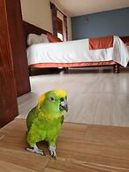Hotel Barrio Antiguo
