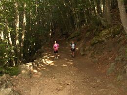 Paradiso delle Madonie