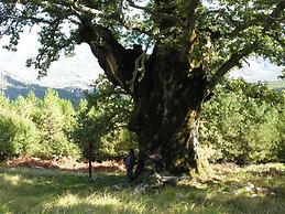 Paradiso delle Madonie