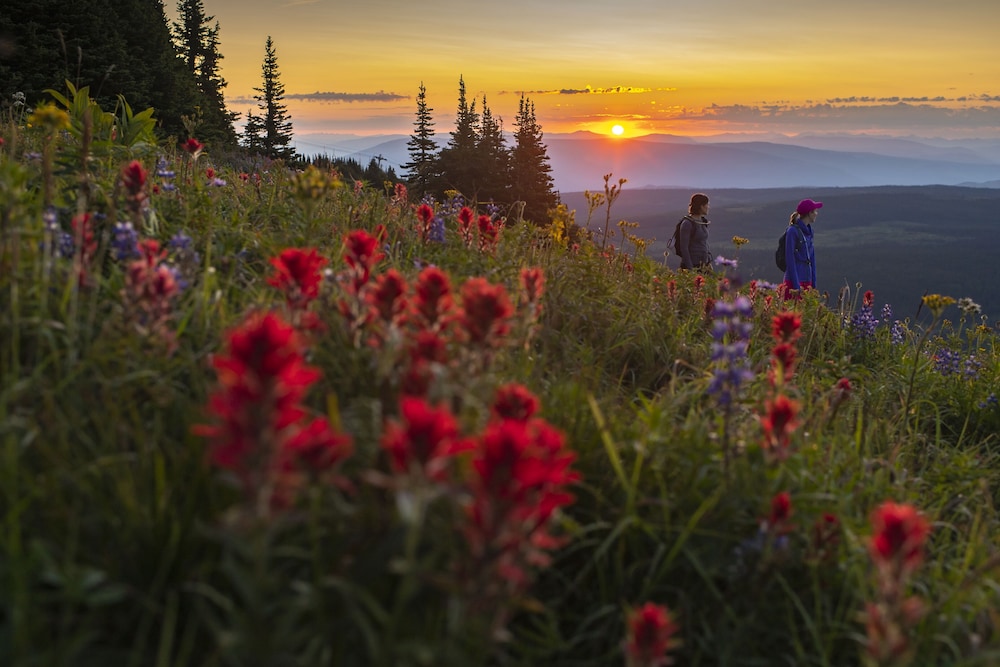 The Residences at Sun Peaks Grand