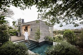ADLER  Thermae