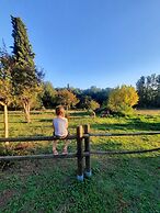 Villa Rigacci